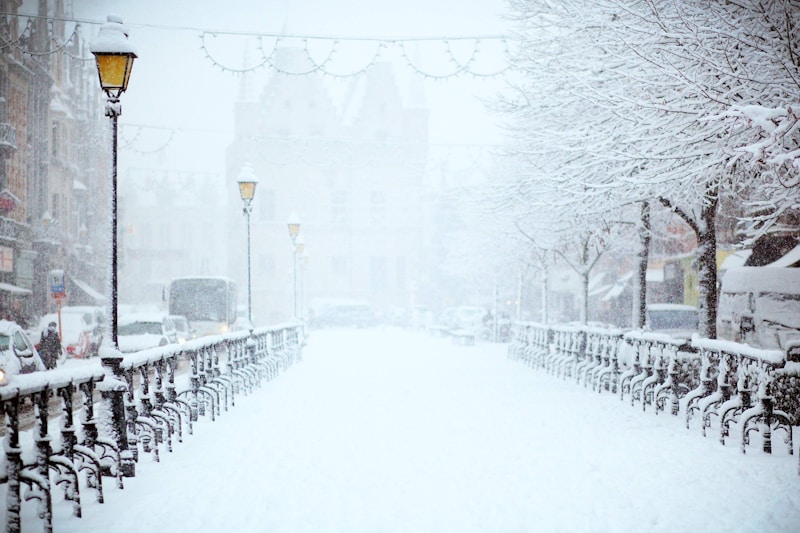 Idee di abiti da sposa per matrimoni invernali: guida alla scelta perfetta